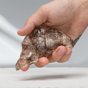 Smoky Elestial Tabular "Floater" Quartz | 115.19gr, Brazil