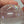 Quartz 2.42