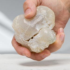 Snakeskin Agate | 447 Grams, Oregon